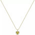 Romantic gilded necklace with heart Tesori SAVB01 (chain, pendant)