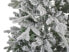 Weihnachtsbaum TATLOW