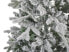 Фото #6 товара Weihnachtsbaum TATLOW