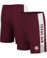 Фото #1 товара Men's Maroon Texas A M Aggies Wonkavision Shorts