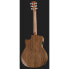 Harley Benton Baritone CLG-414BCE NT