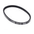 Фото #1 товара ATHENA S41PLAT062 Transmission Belt