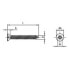 Фото #5 товара EUROMARINE A4 DIN 7982 3.9x19 mm Cross Head Screw 25 Units