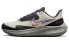 Фото #1 товара Кроссовки Nike Air Zoom Pegasus 39 Shield DO7626-003