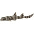 Фото #1 товара Фигурка Safari Ltd Bamboo Shark Figure Wild Safari Sea Life (Дикая сафари Морская жизнь)
