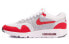 Кроссовки Nike Air Max 1 843384-101