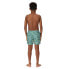 REGATTA Skander II Swimming Shorts