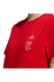 Gfx Tee Kadın T-shirt Hz3005