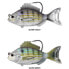 LIVE TARGET Pinfish swimbait 21g 93 mm
