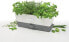 Фото #9 товара Cole & Mason Cole & Mason H105349, Pot planter, Freestanding, Grey, White, Indoor, Grey