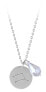 Capricorn steel necklace with zircon (chain, 2x pendant)