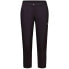 Фото #1 товара MAMMUT Hueco Pants