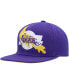 Men's Purple Los Angeles Lakers Paint By Numbers Snapback Hat