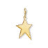 Фото #1 товара Thomas Sabo Charm-Anhänger goldener Stern Y0040-413-39