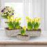 Фото #4 товара Rechteckiger Blumentopf im 3er Set