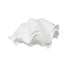 Фото #3 товара Декоративная фигура Белый Раковина 14 x 7 x 10 cm