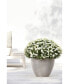 Фото #2 товара Eco pots Antwerp Modern Indoor and Outdoor Planter, 12in