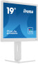 Iiyama 48.0cm 19" B1980D-W5 5 4 VGA+DVI Lift white retail - Flat Screen - 48 cm