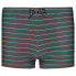 Фото #2 товара PROTEST Marcus swimming shorts