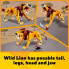 Фото #15 товара LEGO 31112 Creator 3-in-1 Wild Lion Ostrich and Warthog Set Toy Animals for Children