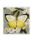 Фото #1 товара Victoria Borges Butterfly Branch I Canvas Art - 15" x 20"