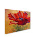 Фото #2 товара Marion Rose 'Red Poppy II' Canvas Art - 35" x 47"