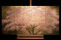 Bild handgemalt Short and Sweet Sakura