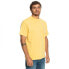 ფოტო #5 პროდუქტის QUIKSILVER The Natural Dye short sleeve T-shirt