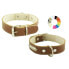 YOUPET L250 Dog Collar