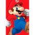 Фото #1 товара NINTENDO MERCHANDISING Super Mario Run Poster
