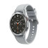 Фото #1 товара Умные часы Samsung SM-R895FZSAPHE 1,4" 16 GB Серебристый 1,4"