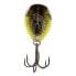 Shimano Black Back Chart WORLD RUSH FLASH BOOST Crankbait (WR56FBBC) Fishing