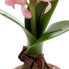 Декоративное растение полиэстер полиэтилен Железо меламин 9,5 x 9,5 x 29 cm