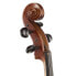 Фото #11 товара Gewa Allegro VC1 Cello 4/4