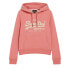 SUPERDRY Embroidered Vl Graphic hoodie
