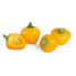 Véritable 3760262510613 - Essbare Pflanze - Yellow bell pepper - Nachfüllen - Schnellwachsend (3-5 Wochen)