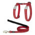 Фото #2 товара RED DINGO Animal Footprint Harness