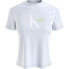 ფოტო #1 პროდუქტის CALVIN KLEIN JEANS Dynamic short sleeve T-shirt