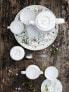 Фото #7 товара Brillance Fleurs Sauvages Rim Dinner Plate