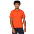 Фото #2 товара REGATTA Sinton short sleeve polo