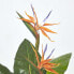 Фото #14 товара Искусственные цветы Homescapes Königsstrelitzieующие Strelitzia Reginae.