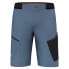 Фото #1 товара SALEWA Pedroc 3 DST shorts