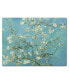 Van Gogh Cherry Blossoms 16" x 20" Gallery-Wrapped Canvas Wall Art