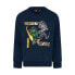 Фото #1 товара LEGO WEAR Storm 620 sweatshirt