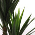 Фото #14 товара Искусственные цветы MICA Decorations Yucca 120 см 60 см