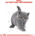 Royal Canin British Shorthair Kitten karma sucha dla kociąt, do 12 miesiąca, rasy brytyjski krótkowłosy 0.4kg