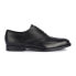 GEOX Hampstead Shoes