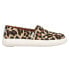 Фото #1 товара TOMS Alpargata Mallow Leopard Slip On Womens Size 6 B Sneakers Casual Shoes 100