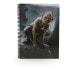Фото #1 товара SD TOYS The Lord Of The Rings Notebook 3D