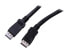 Фото #1 товара StarTech.com DISPLPORT50L 50 ft(15.24m) Black 1 x DisplayPort Male to 1 x Displa
